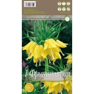 Fritillaria imperialis Lutea